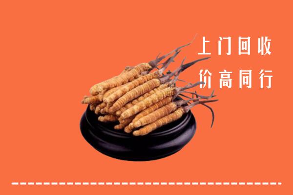 高价求购：武山县回收散虫草