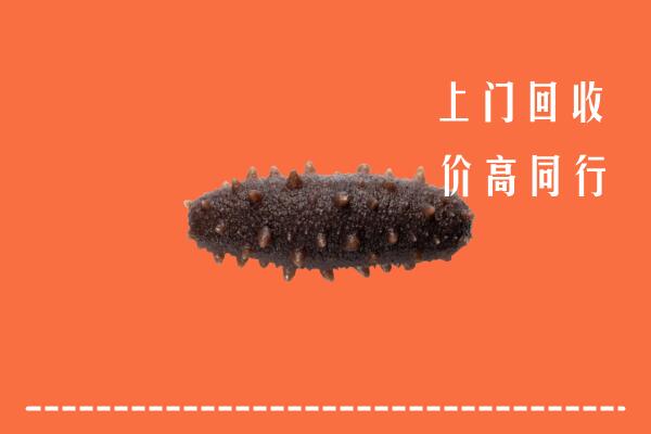 高价求购：武山县回收海参