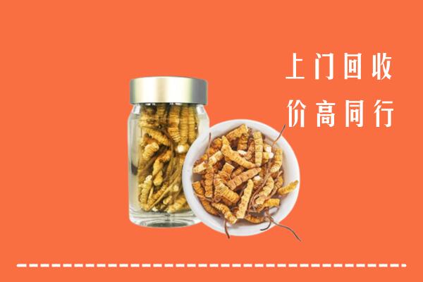 武山县回收冬虫夏草