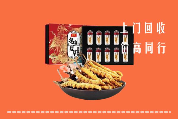 武山县回收虫草